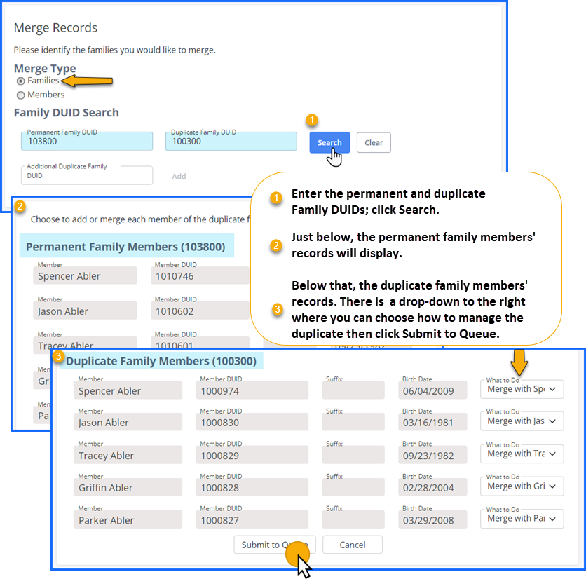merge_duplicate_family_into_permanent_family_map.png
