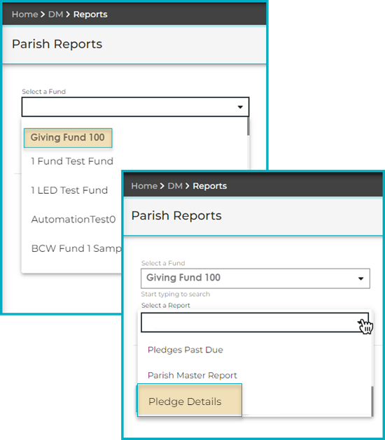 Pledge_Details-Report_Fund_then_report.png