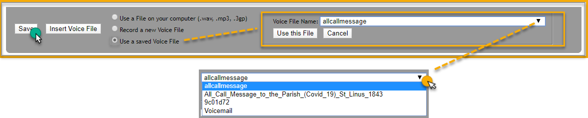 Use_Saved_Voice.png