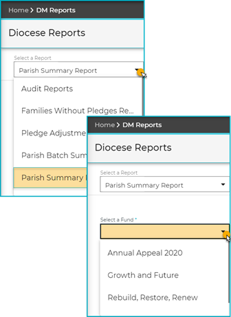 Select-Parish_Summary_Report_Select-Fund_SHRUNK.png