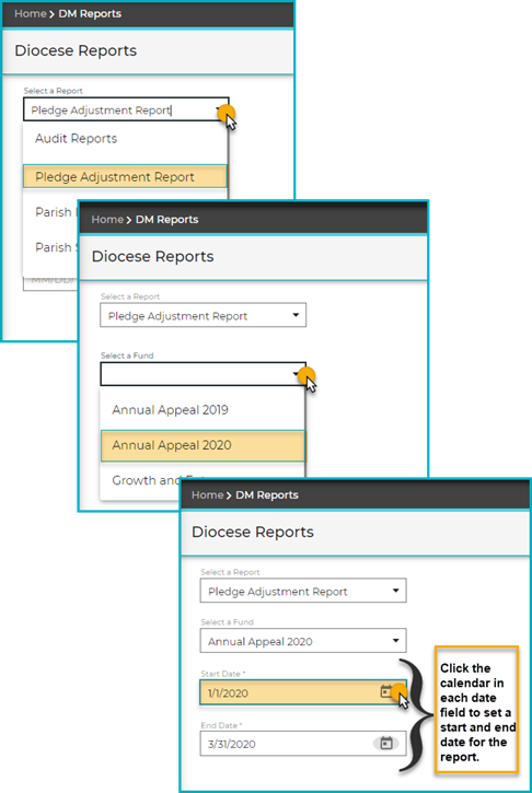 Pledge-Adjustment-Reportfield_selections_for_report.png