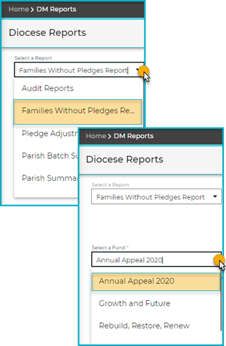 Select_Parish-Summary-Report_and_Fund.png