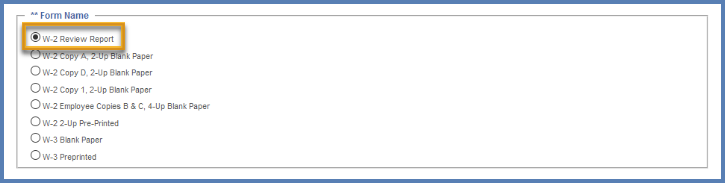 W-2_Review_Report.png