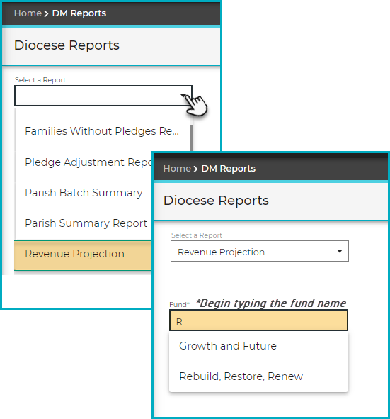 Select-Projection-Report_Select-Fund.png
