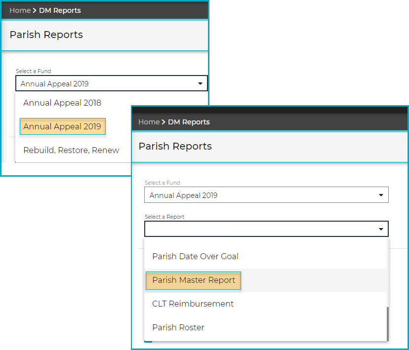 Parish-Master-Report_Sel-Rep_IZ.png