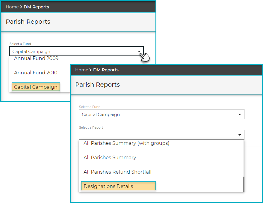 Designation-Details_Screen-Sel_IZ.png