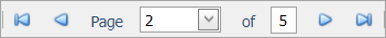 pagethroughreport.png