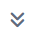 double down arrows icon.png