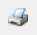 Print report icon.png