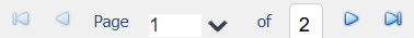 report viewer page navigation.png