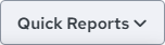 quick reports button.png